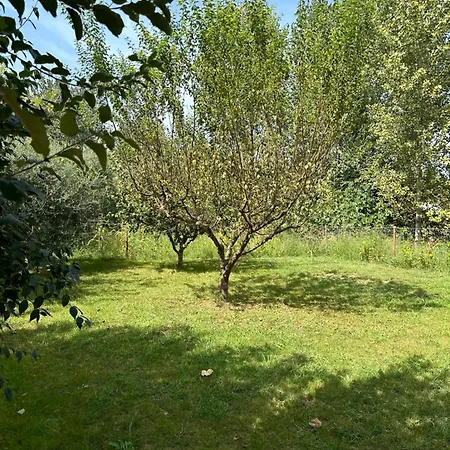 Lexhulo Room's Appartement Domje