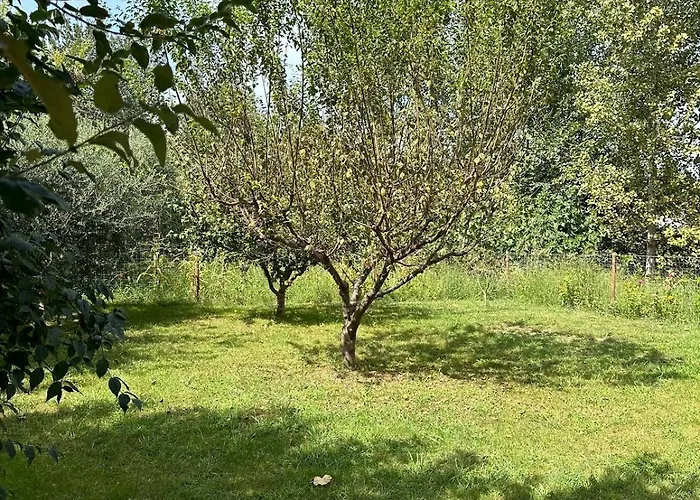 Lexhulo Room's Domje